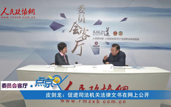 皮剑龙：促进司法机关法律文书在网上公开