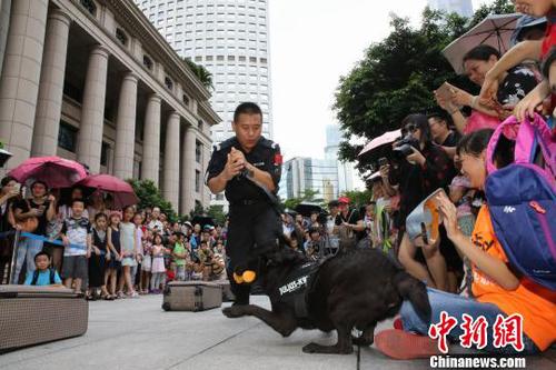 缉毒犬赫尔曼在表演行李搜查科目 池兆恩 摄