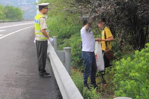 男子去年高速路停车摘李子被罚 今年徒步来摘再次被逮