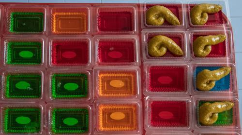 “狗大便”甜点由椰奶、明胶和食用色素做成。（图片来源：法新社）