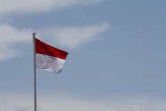 u=2982456663,2171603810&fm=26&gp=0