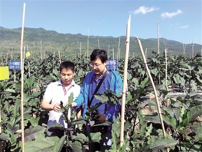点击进入下一页