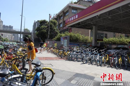 资料图：共享单车摆成两排“包围”成都一加油站。　张浪 摄
