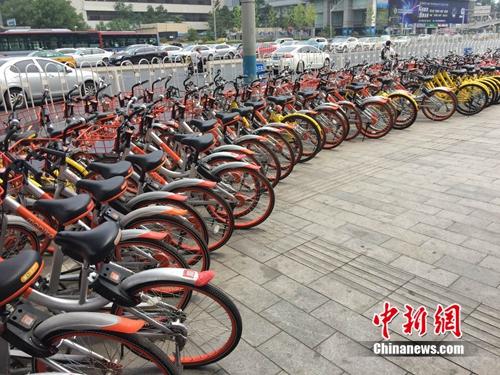资料图：路边停放着多种共享单车。<a target='_blank' href='http://www.chinanews.com/' >中新网</a> 吴涛 摄