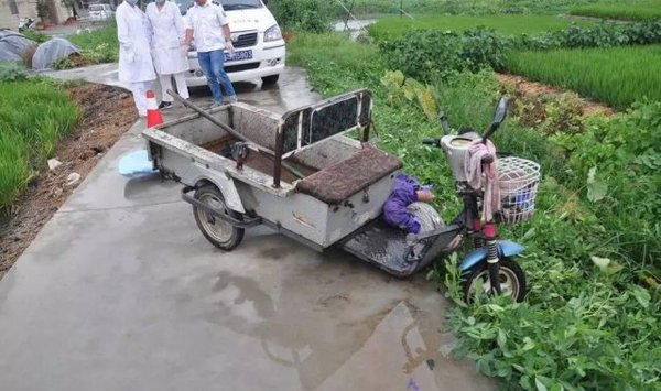 泰州一老农疑遭雷击身亡