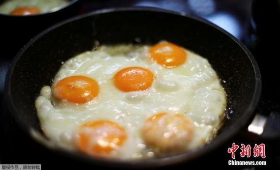 世界卫生组织(WHO)指，大量进食高浓度芬普尼一段时间，会损害肝脏、甲状腺和肾脏。（资料图）