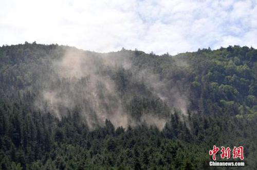 8月11日，九寨沟景区大门一侧山体出现滑坡情况，泥土在林间扬起。据国家地震台网官方消息，截至8月11日8时0分，共记录到余震总数为2318次，其中6.0—6.9级地震0次，5.0—5.9级0次，4.0—4.9级3次，3.0—3.9级23次，目前最大余震4.8级。 <a target='_blank' href='http://www.chinanews.com/'>中新社</a>记者 张浪 摄