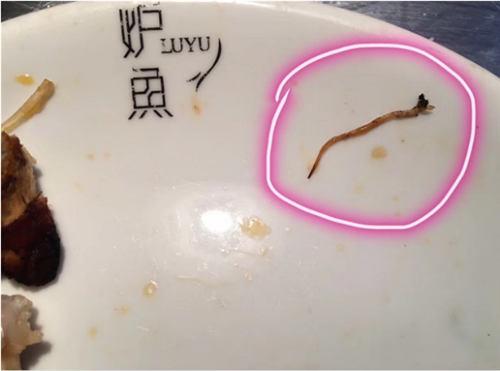 鱼肉里吃出寄生虫 餐厅负责人为证清白一口吞下