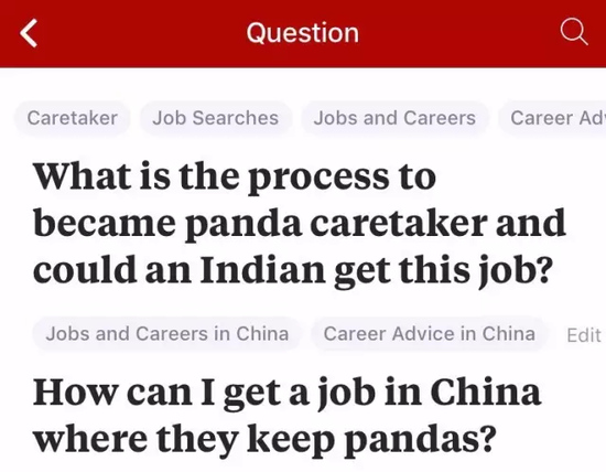 外国人喜欢胖达的神奇理由:熊猫是种族平等的象征