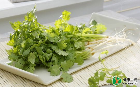 爱感冒的人最好别吃香菜！