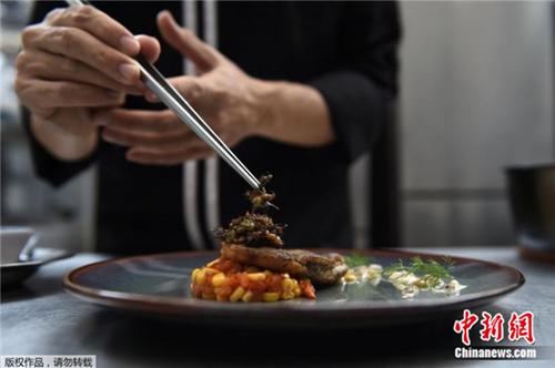 舌尖上的另类美食：泰国高档餐厅以各类昆虫入馔（图）