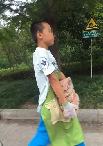 11岁搬砖男孩已退学:学校的教育不好 我自己可以学