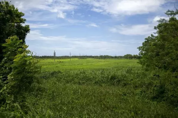 特朗普抛弃的美国第51州望起死回生 盼中国投资