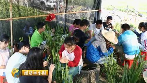 日本努力30年没完成的农业大计 中国师生做到了