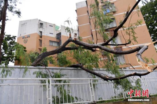 台风资料图。<a target='_blank' href='http://www.chinanews.com/'>中新社</a>记者 陈文 摄