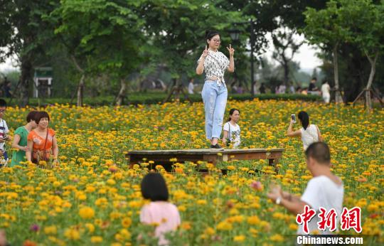 图为游客在花丛中拍照留念。　吕明 摄