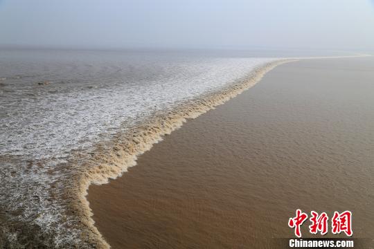 “一线横江”的钱江潮。　王远 摄