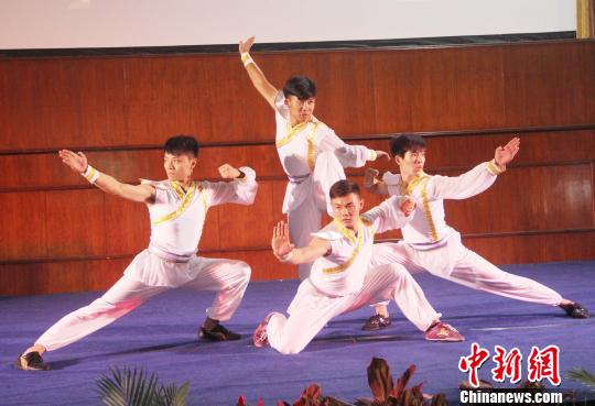 图为武术表演。　林永传 摄