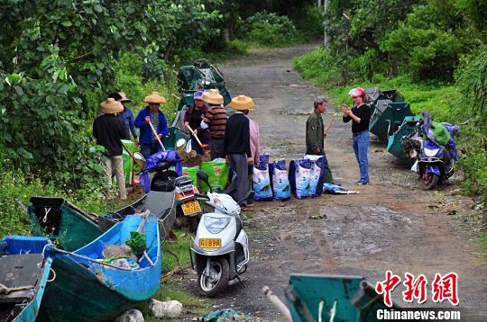 台风“卡努”致广东湛江直接经济损失逾8亿元