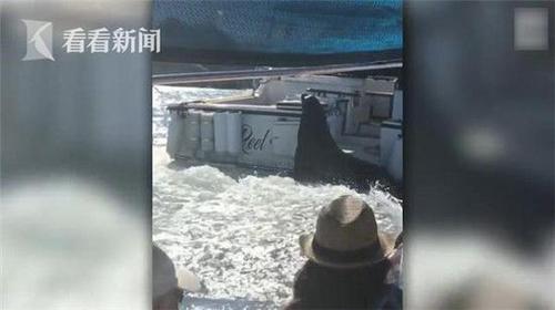 微信截图_20171020130950.jpg