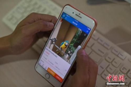 资料图：淘宝店主使用手机浏览自己的淘宝店铺。<a target='_blank' href='http://www.chinanews.com/'>中新社</a>记者 刘关关 摄