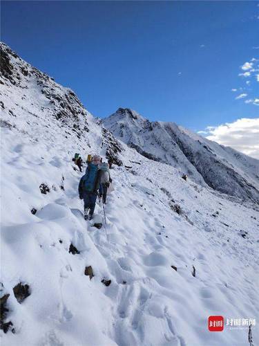 成都首次雪豹专项调查结束:成都范围有 至少两只