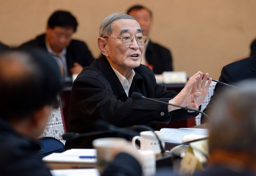厉以宁常委在分组讨论会上发言。