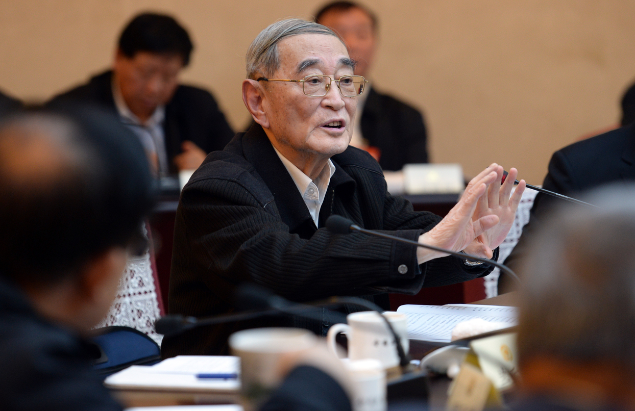 厉以宁常委在分组讨论会上发言