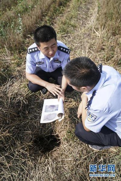 “秦都遗址”被盗案 盗墓者曾参加文物普查