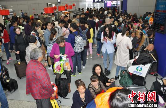 图为旅客排队值机。　杨珺 摄
