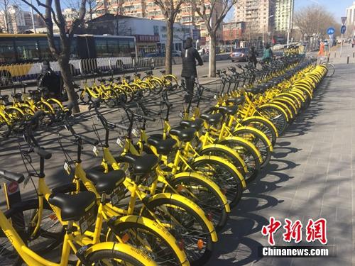 资料图：一排共享单车整齐码放。<a target='_blank' href='http://www.chinanews.com/' >中新网</a> 吴涛 摄