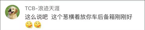 南方妹子遇北方大葱疯了:长了20多年 还没根葱高!