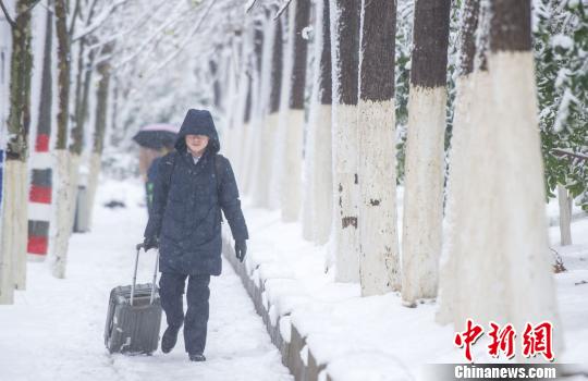 暴雪中的行人。　张娅子 摄