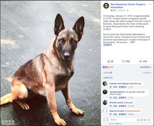 男子拒捕一口咬住警犬狗头 警犬立刻反咬回去