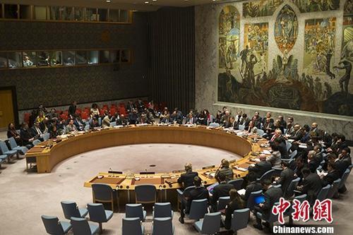 当地时间1月5日，在美国的要求下，联合国安理会举行会议讨论伊朗局势。
中新社记者 廖攀 摄