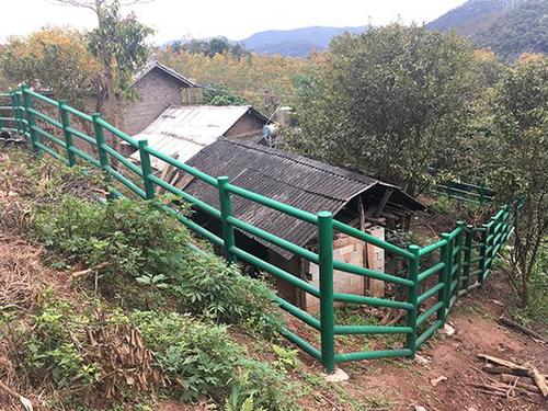 云南野象25年致53人死 试点村寨建围栏防象