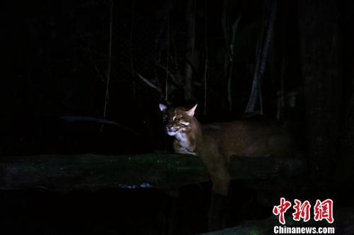 点击查看大图