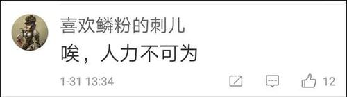 网友称最后一只动物园里的华南金猫去世