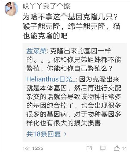 网友称最后一只动物园里的华南金猫去世