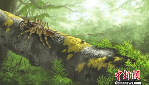 缅甸琥珀中怪物蜘蛛(Chimerarachne yingi)的生态复原。南古所 制图