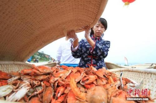资料图：螃蟹等海鲜走入寻常百姓家。<a target='_blank' href='http://www.chinanews.com/'>中新社</a>记者 杨兵 摄