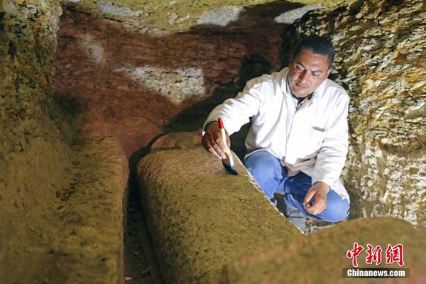 当地时间2018年2月24日，埃及明亚，埃及古文物部部长阿纳尼（Khaled al-Anani）发表声明称，埃及考古学家在开罗南部明亚发现了一个包括有八座坟墓和大约四十个石棺的大型墓地。3