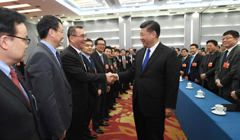 习近平看望参加政协会议的民盟致公党无党派人士侨联界委员