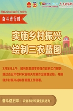 【奋斗进行时】实施乡村振兴，绘制三农蓝图 