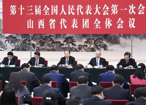 赵乐际参加山西代表团审议