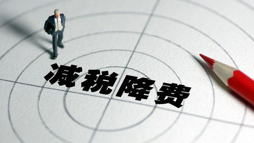 减税降费
