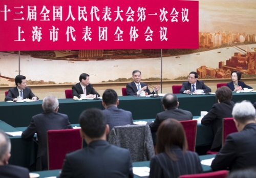 汪洋参加上海代表团审议