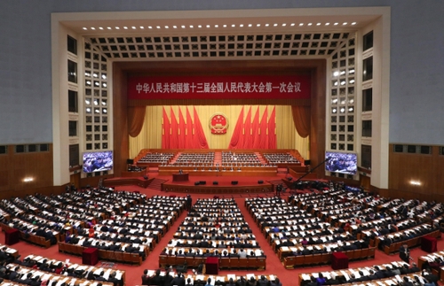 （1）十三届全国人大一次会议举行第二次全体会议