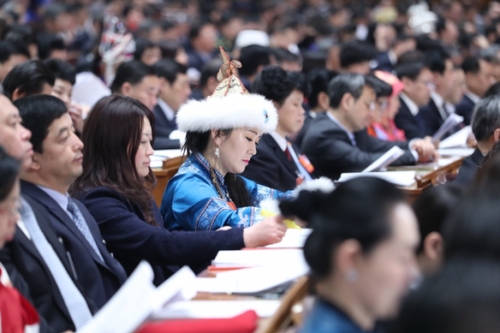 （6）十三届全国人大一次会议举行第二次全体会议