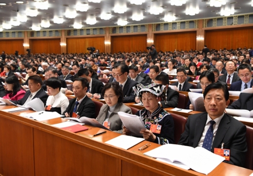 （7）十三届全国人大一次会议举行第二次全体会议